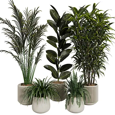 Indoor Plants 03