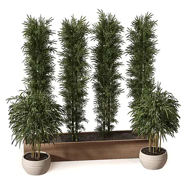 Plants Bamboo 370