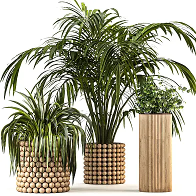Boho Pot Plants