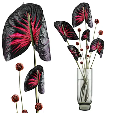 Plants Set 302