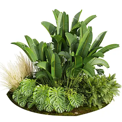 plant vol 840 - garden - landscape design - backyard