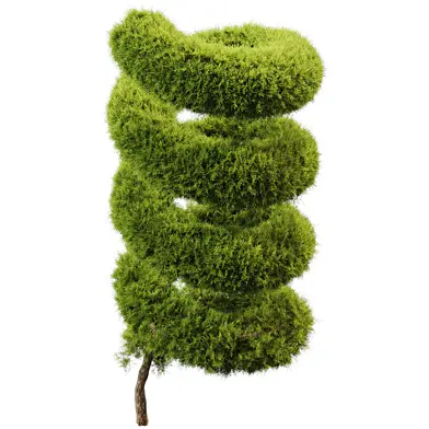bush outdoor 0102