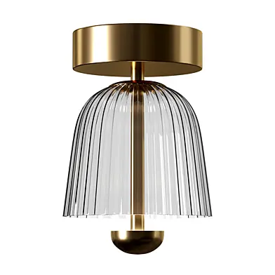 Asteea Ceiling Lamp