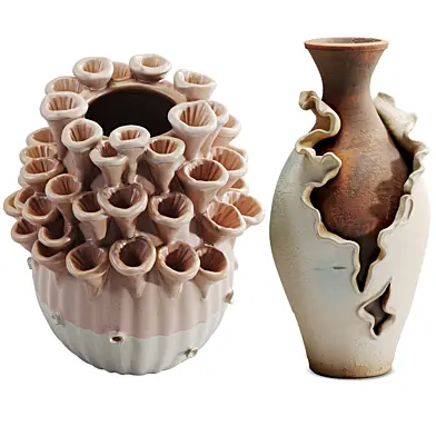 Premium Vase Set 20