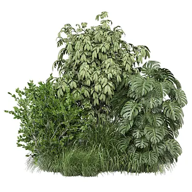 outdoor bush plants 2485