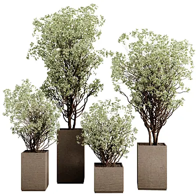 Stand Plant Box Concrete pot - collection Outdoor plant 252