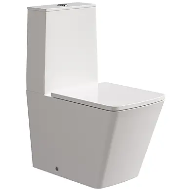 Emily Rimless Fully Back to Wall Close Coupled Toile