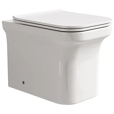 Emily Rimless Back To Wall Toilet