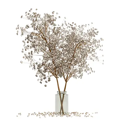 Dryflowers