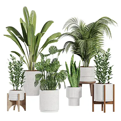 Indoor plant set 012