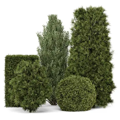 Outdoor Plants Bush_Bush Set 4334