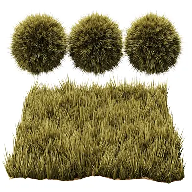 Осенний газон, дикая полевая трава Grass 1