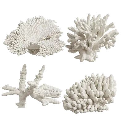 Coral Set Loft-Concept - 1