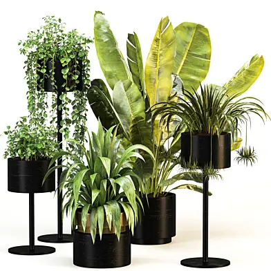 Plant Set 15