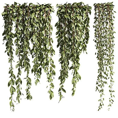 Plants Set 346