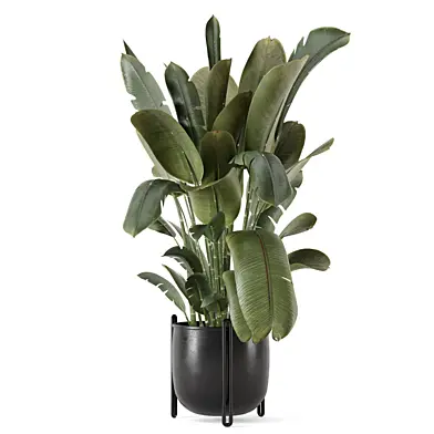 Big Leaf Plant in Metal Pot_Set 4373