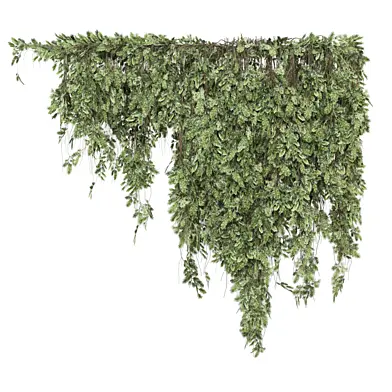 Indoor Plants Collection 2585