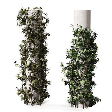 Climbing Plants on Columns 477