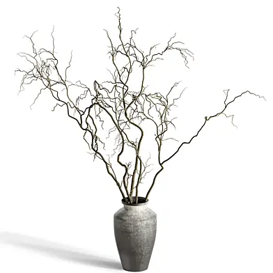plants_bouquet 046 dry branches