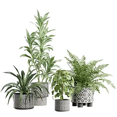 Indoor Plants Pack 110