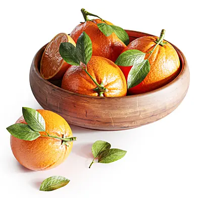 Fruit set02