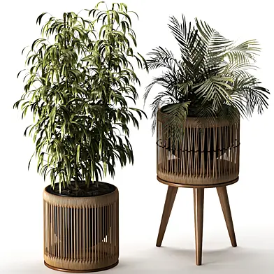 Boho Pot Plant 12