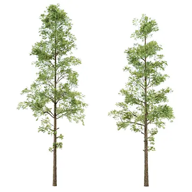 Trees 3D Model Vol 391