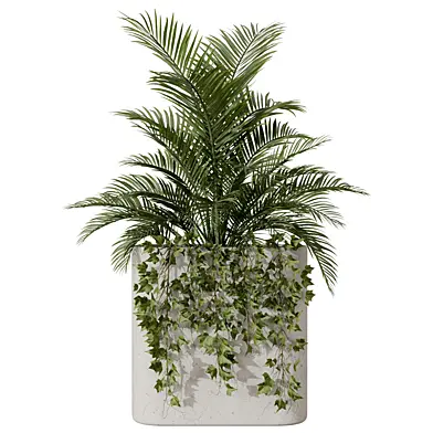 Indoor Palm and Ivy Plant Set