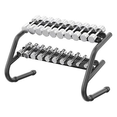 Technogym Chrome Dumbbells