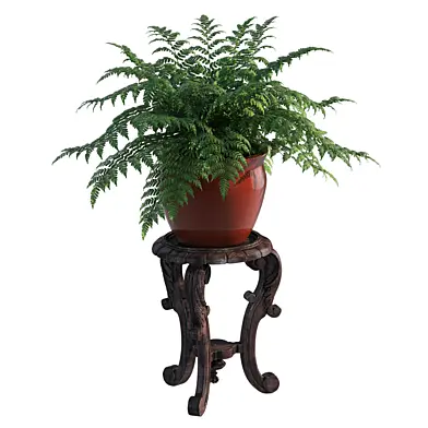 Antique french