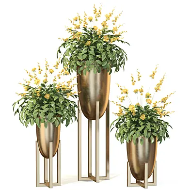 Plant Set 18
