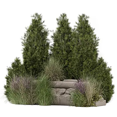 Outdoor Pine Plants Bush_thuja Set 4442
