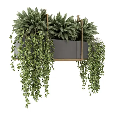 Hanging Plants Gray Pots Metal Box_Set 4483