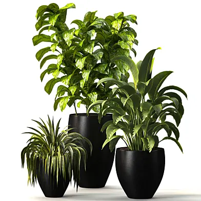 Black Metal Plant Set 02