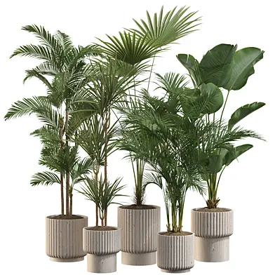 Plant Set 22