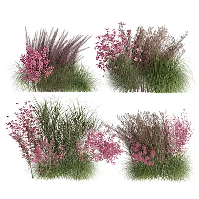 Bush set 010