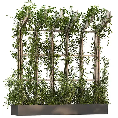 Vertical ivy plant 1034