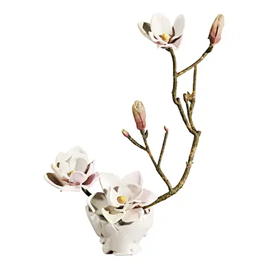 Plants Set 393