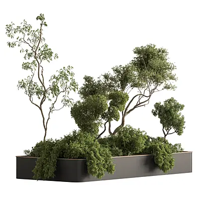 Indoor Plant 984 - Plant Box
