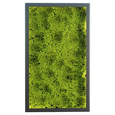 Green Wall Moss Vol 419 3D Model