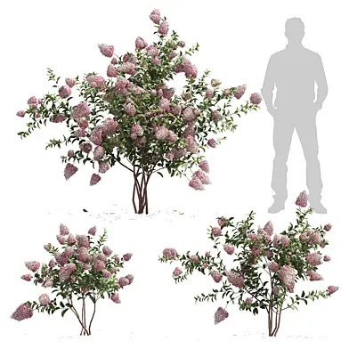 outdoor plant 001
