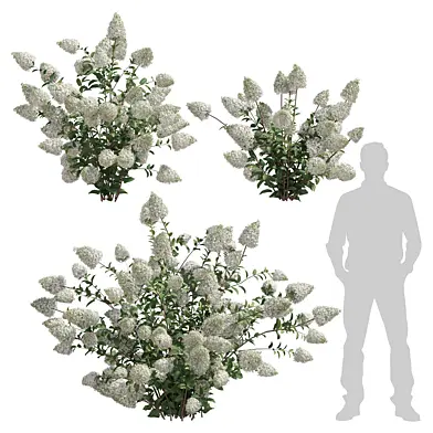 outdoor plant 002