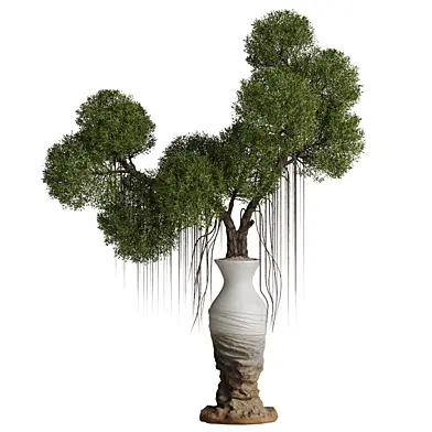 Indoorplant 156