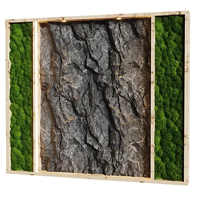 rock wall moss
