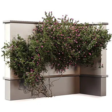 Hanging Plants on Wall - Outdoor Plant 580