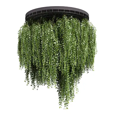plant vol 1165