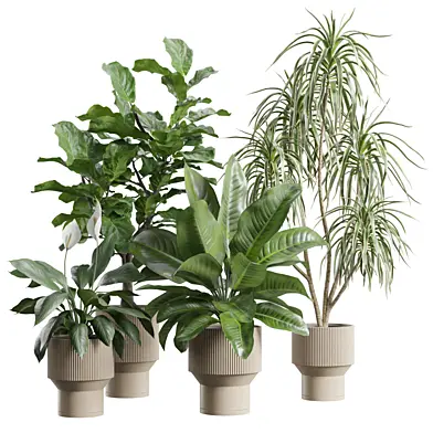 Indoor Plants Pack 113