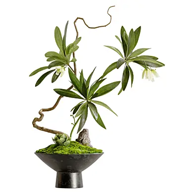 Bouquet of Flowers Branches in Vase 95