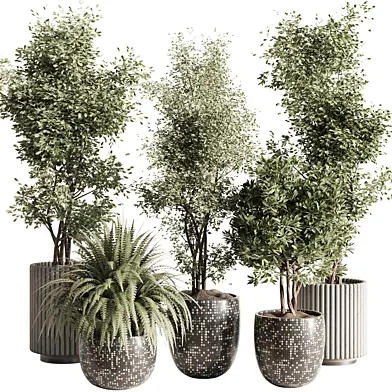 indoor plant Set 158