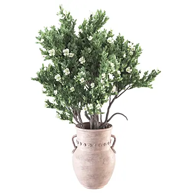Whisper Bloom Myrtle 060